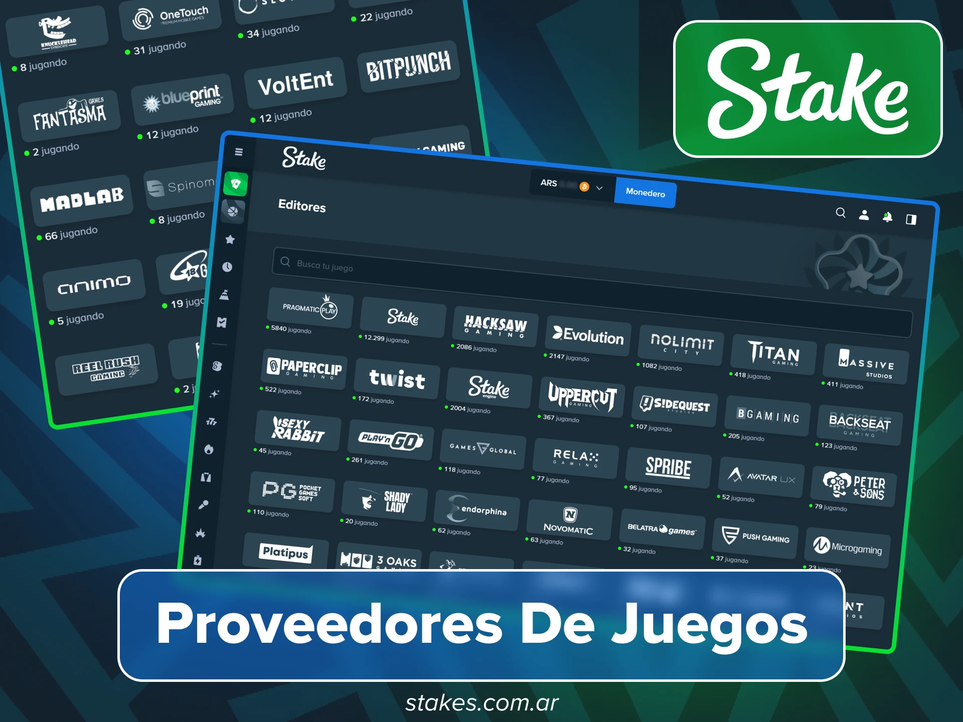Enjoy the best world-class casino game providers on the official site Stake Argentina.
